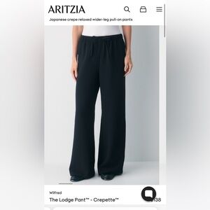 Aritzia lodge pant
